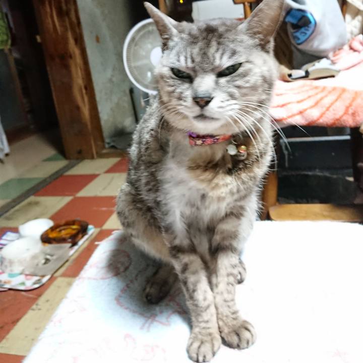 92bf2dc5 05af 4e4f 8f2f fa0d9f212807 1593371515279