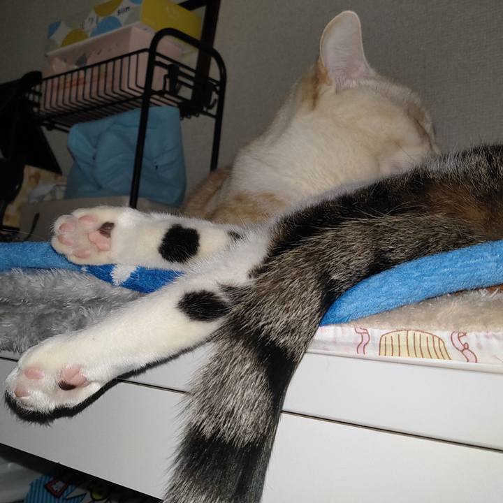 92bf3cb5 4b7c 4c9d 9cbb 37f18723f65a 1676143523542