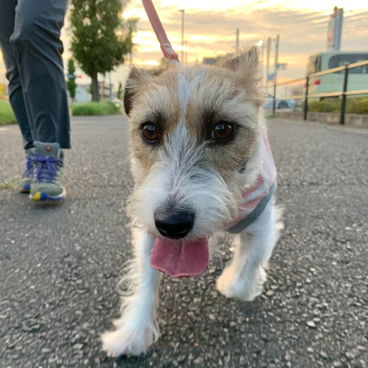 92bf4f59 ef3e 4626 a737 8ecb837152fd 1631256302347