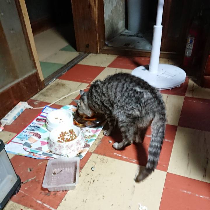 92bf81ee a123 4865 9c99 2acda09823fa 1593630944674