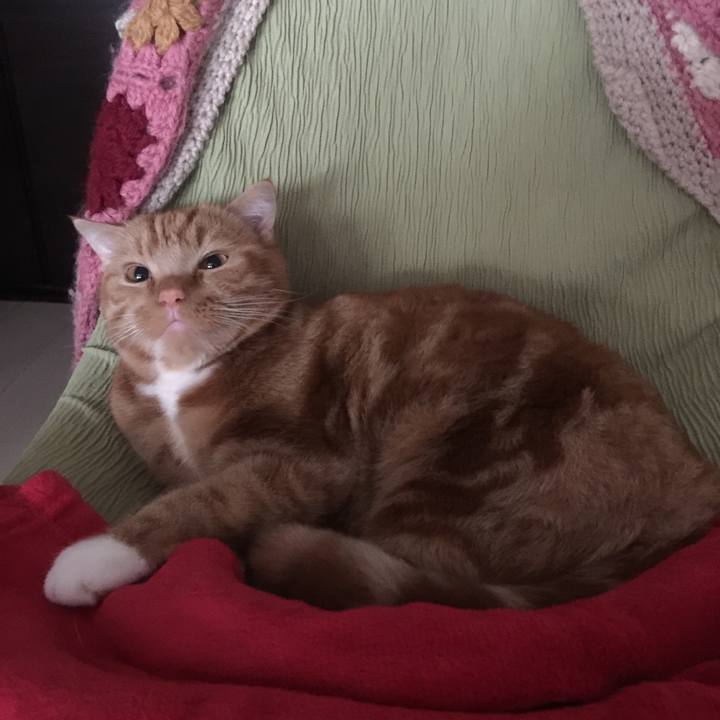 92bfa8cb 769b 43c8 96e2 7e8e15767178 1508805208121