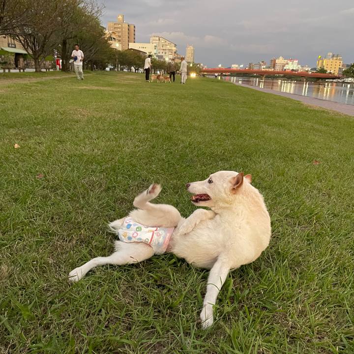 92bfba5d fde5 4bb3 902e 719f7c373c17 1665571965640