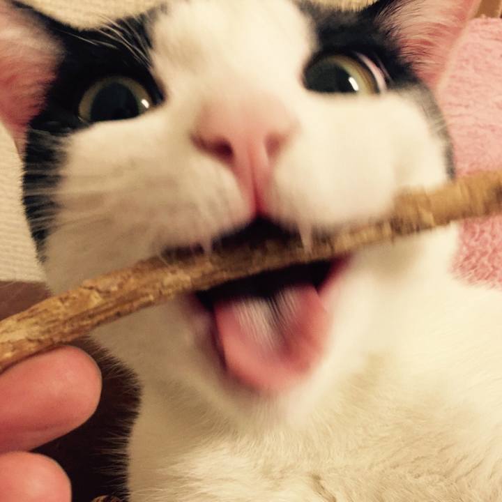 92c00d43 e0a7 4afb 87e6 99076c93552f 1660861007511