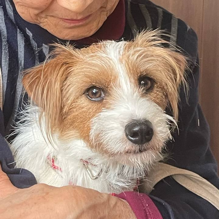 92c01030 3bf8 4bd7 a0c1 76a46f1b2bd6 1766484289635