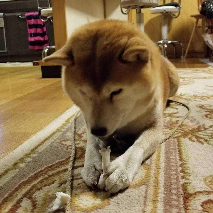 92c032c7 3d6e 468f aac2 d5e92b4000f0 1573545058122