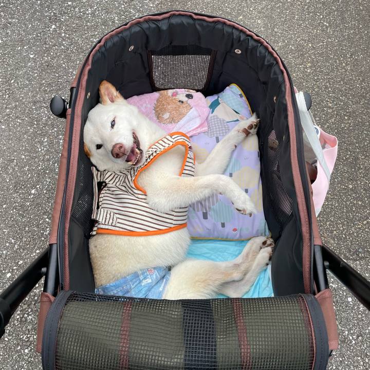 92c06d14 dacb 4486 86d4 fe378ccdc153 1657545764869