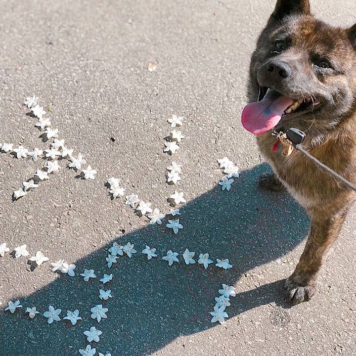 92c07a26 0910 4d72 885b 8a93bb26130e 1528331973146