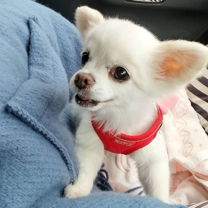 92c09659 3932 4783 8c22 75806e1b35e3 1690747468196