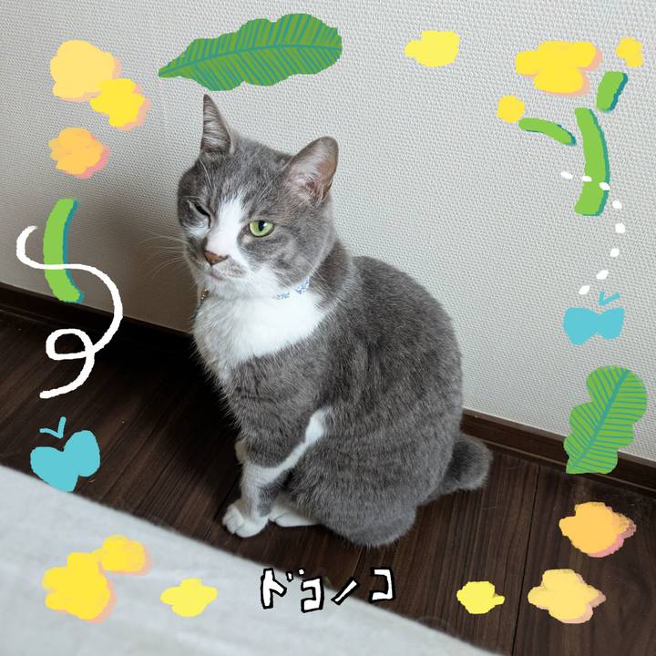 92c0aa7e 749e 437b bdd5 d74440fdbc9a 1744331839675