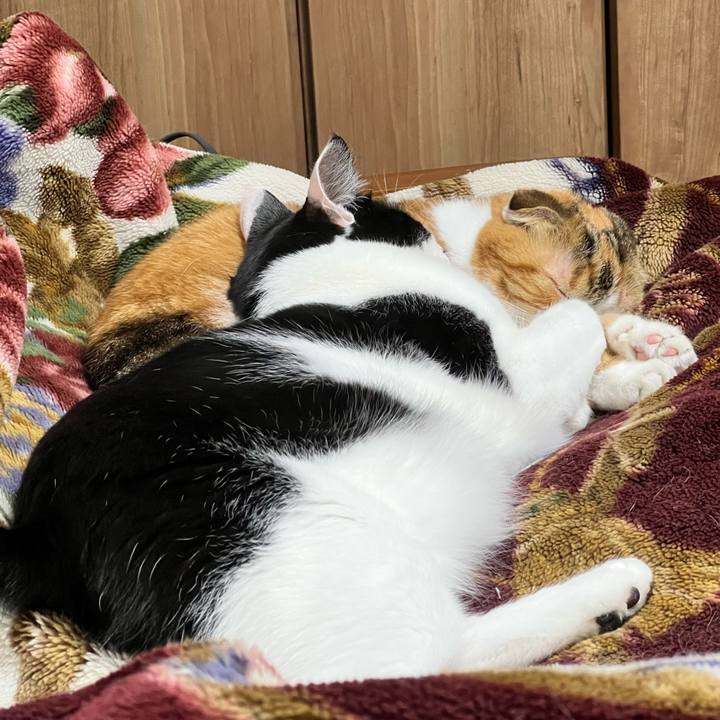 92c0d182 8b4c 46e4 ab55 eff10b55e0a9 1706625248916