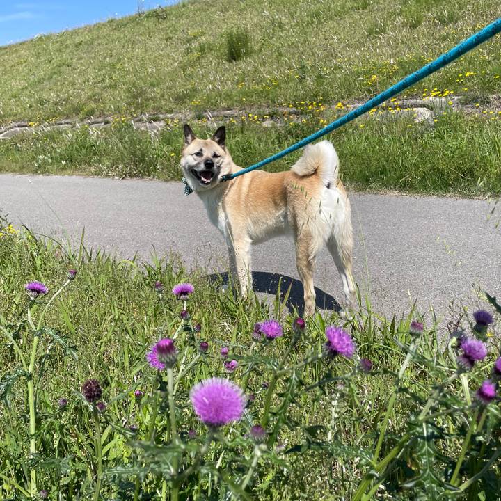 92c0e994 7267 4698 bf15 72553910ad36 1683098822055