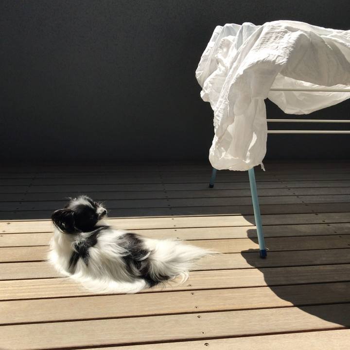 92c1158b 6662 4725 9cdc 6bddbca19297 1567393081682