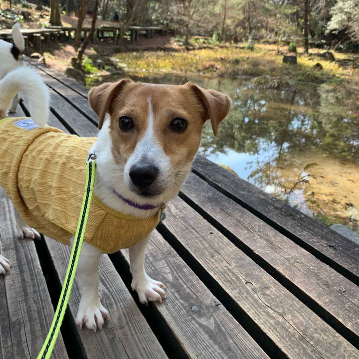 92c11fd1 01db 4d24 b065 5b97b6b15049 1578726258415