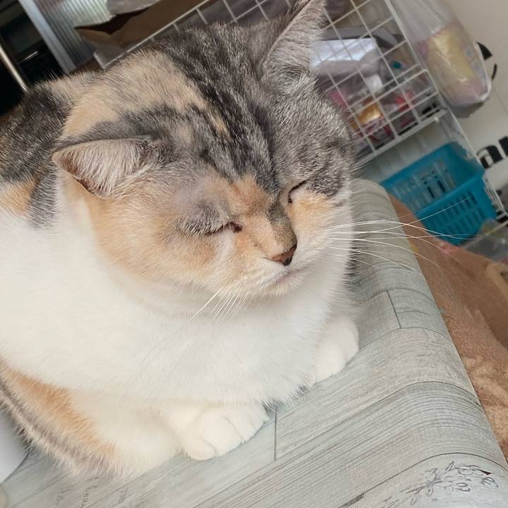 92c1c6b7 ba1a 4d3e 8f21 348b00e142ea 1643587986196