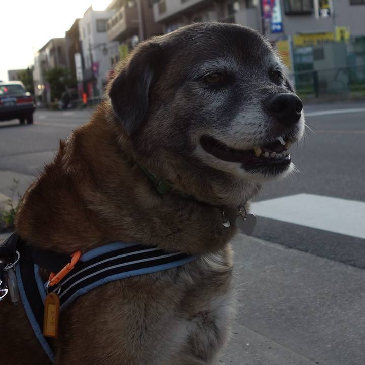 92c25519 3aa9 4603 8b07 ffe6dd1f98a1 1526812303904