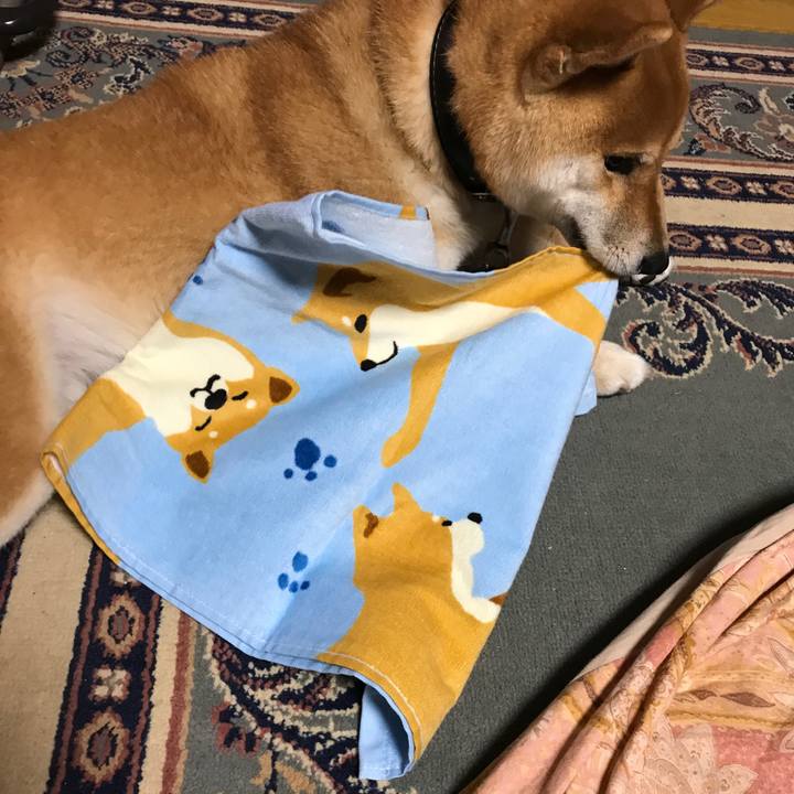 92c28a3e a5c0 418d 89d8 82444db07a8c 1521457277455