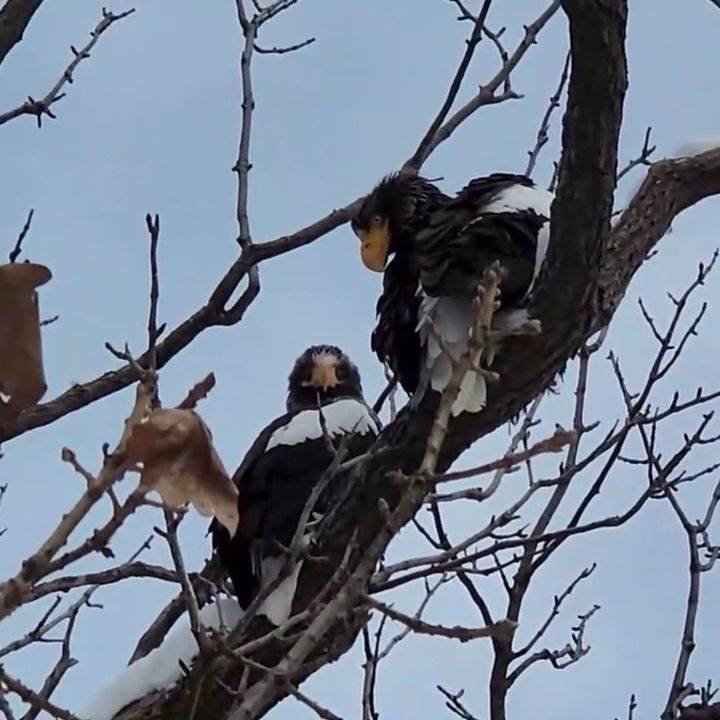 92c29ff7 41e9 4b0a 8781 6143b7925114 1708788835703