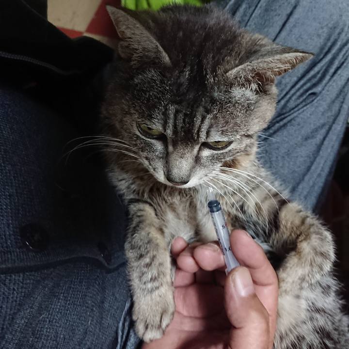 92c2dadd 67c4 4dae b784 8039f409d9cb 1584308905248