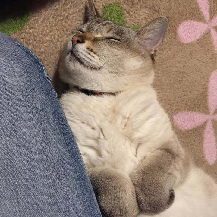 92c356e6 1986 4108 a4cd 83de4cfde2b6 1519211608647