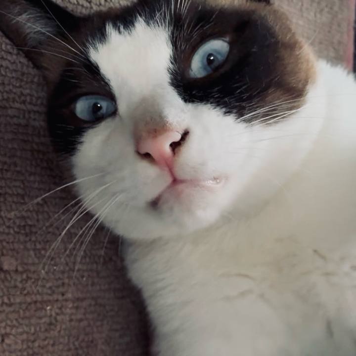 92c36351 ef0b 4e40 86f0 2cd8ed1e9536 1752547002416