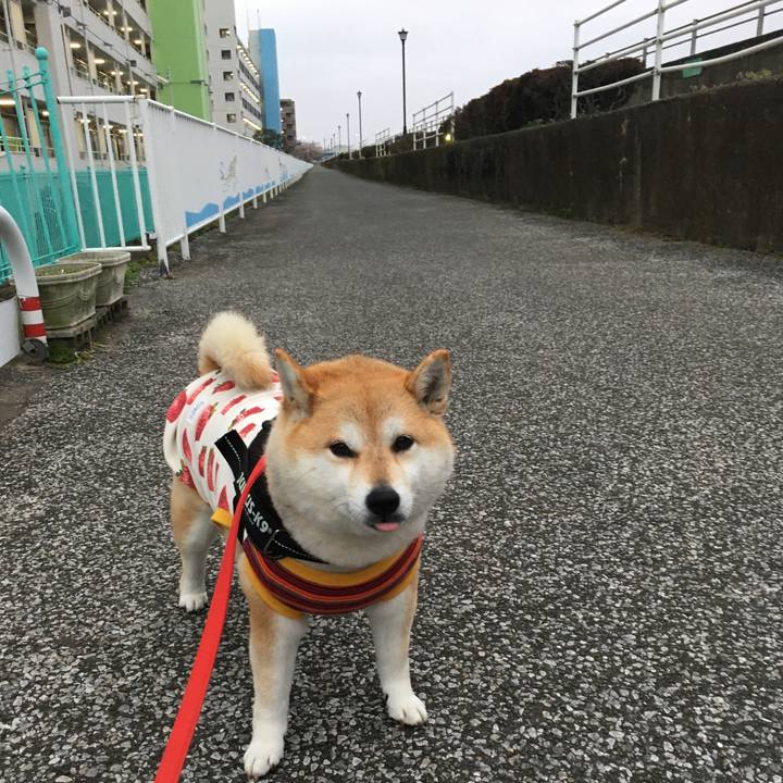 92c37122 fcba 40e6 a608 f291ce7bbf87 1585384710178