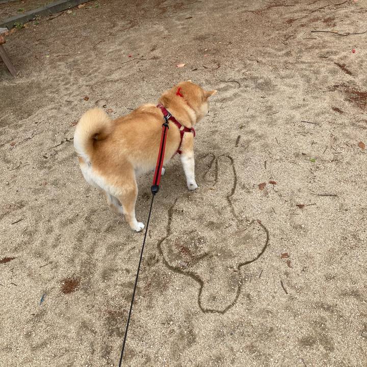 92c3aefc cc66 47b2 b1ca 3d1f51781d41 1653643222114