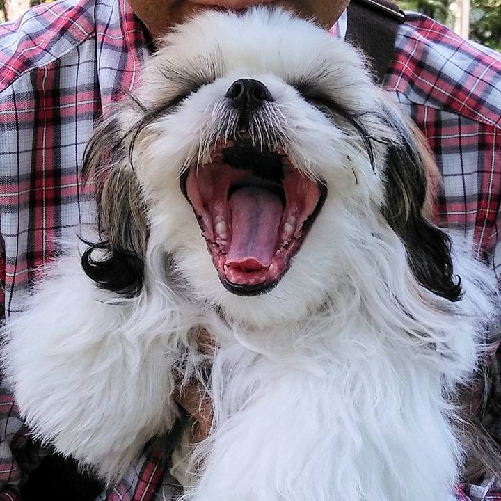 92c3e722 55fb 481f 9bda ab7e3b53f69f 1540020179685