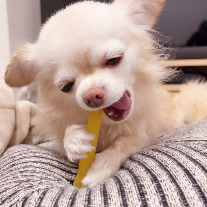 92c43163 03e8 4515 95a4 bff6439f7c1d 1737897664141