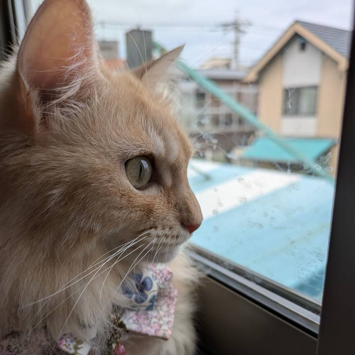 92c4403b a7cc 437e bb53 d3d0487614bb 1757905103991