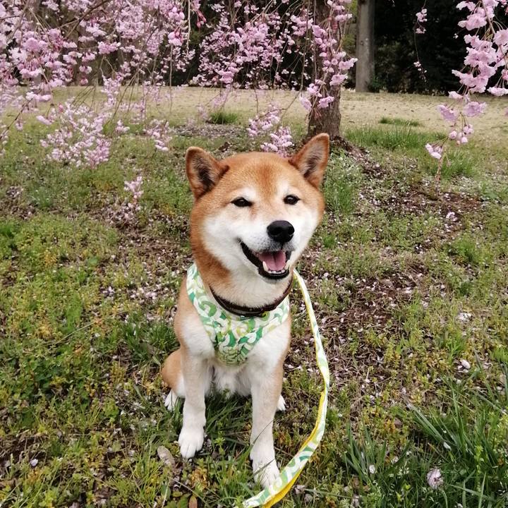 92c442c9 8fc8 4ce2 ad65 d872c13d9f0d 1679888054274