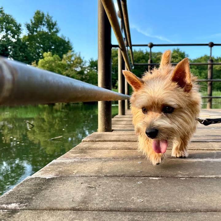 92c445d2 01a1 402e bf86 35f9522c34f3 1752438616517