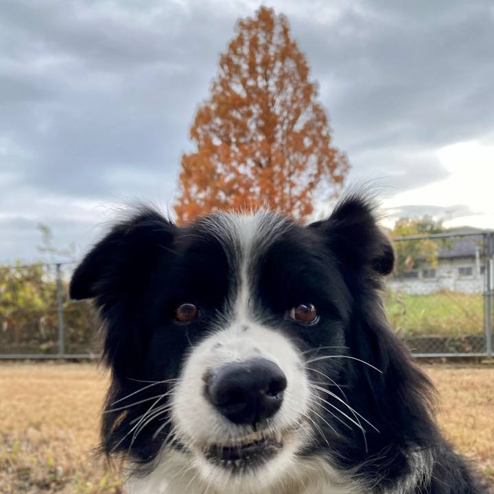 92c47ecc b7b4 4ed8 8881 388239c430f4 1638490330006