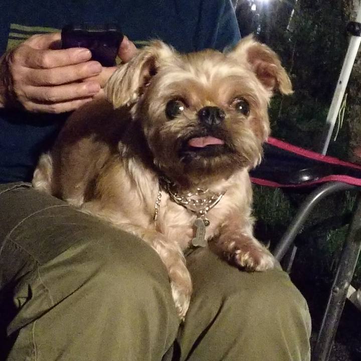 92c4d751 14d7 4d84 83e1 f40fc608994e 1535107510605