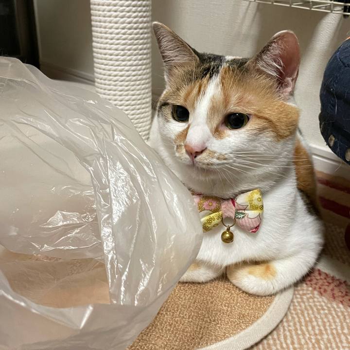 92c4de44 e1bd 4851 82b7 50795e7f0481 1626439284892