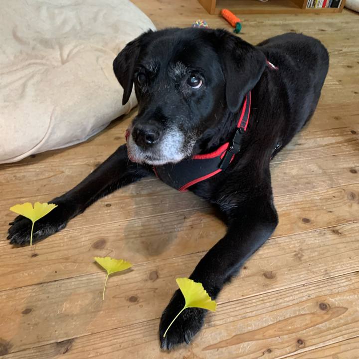 92c4fa2b c40b 4874 b0a8 79899c4d9856 1636887887991