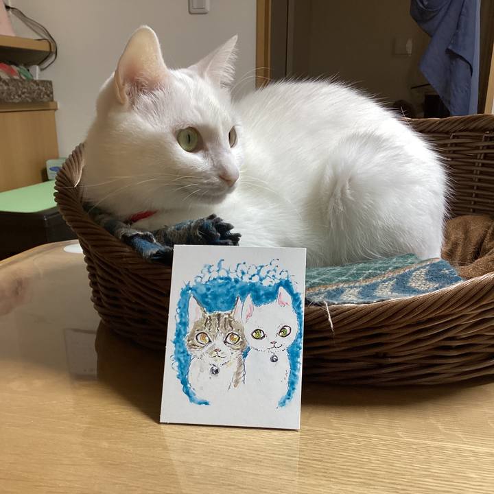 92c53e8d 07d7 4844 b93a 00cfee7e252e 1702769572873