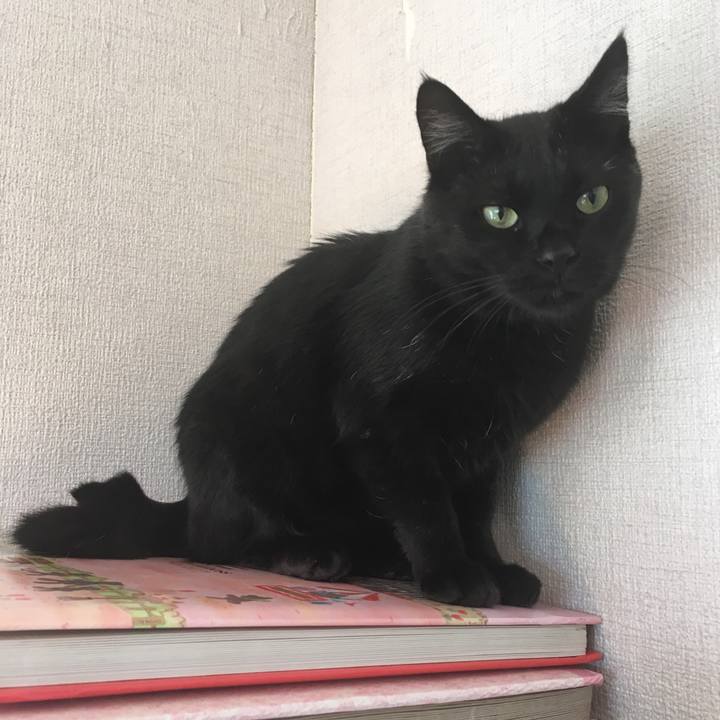 92c55f1d 0ebd 4e2a 8403 c350ca0e7660 1535846958540