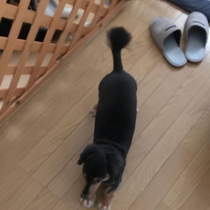 92c565df 213f 4a19 9de6 ad510bfe6609 1533428379208