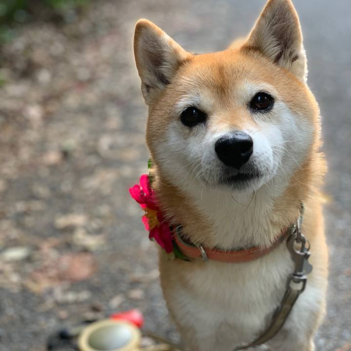 92c567a0 dd4f 4e28 b2d6 6bc29c9d4e47 1577258098866