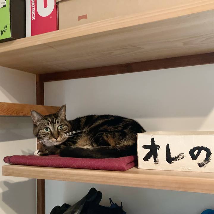 92c575b7 1441 41a4 94b7 b7da63255ebb 1602299788933