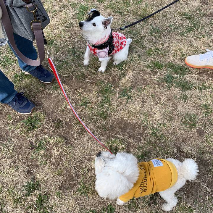 92c579b1 136a 4c52 9713 3ed3493bc98b 1710809159111