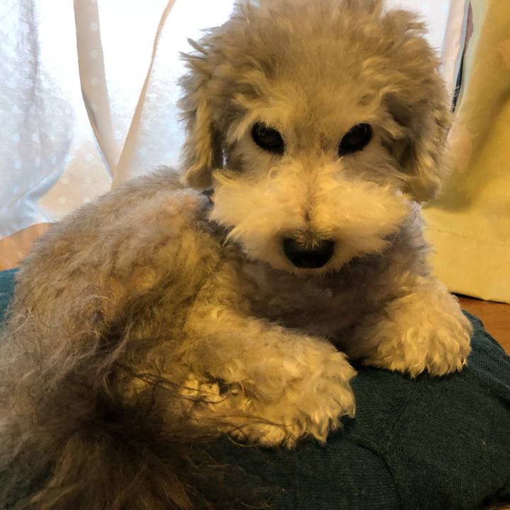 92c5be25 dc72 4d70 b74d 852189b6fb1e 1536881456656