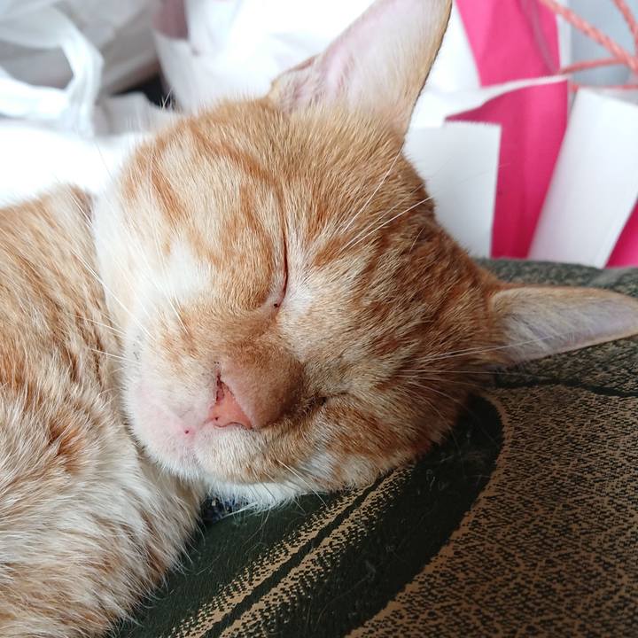 92c5dafc ee3e 44ba ad23 dcc553d6f114 1567305132957