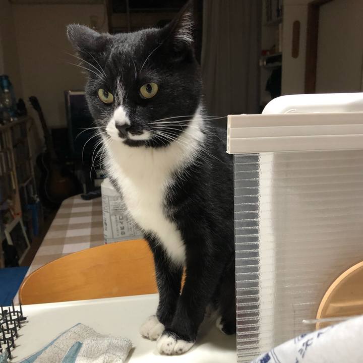 92c5dc29 ea57 4249 b4c3 387e9e0f46d3 1551412563224