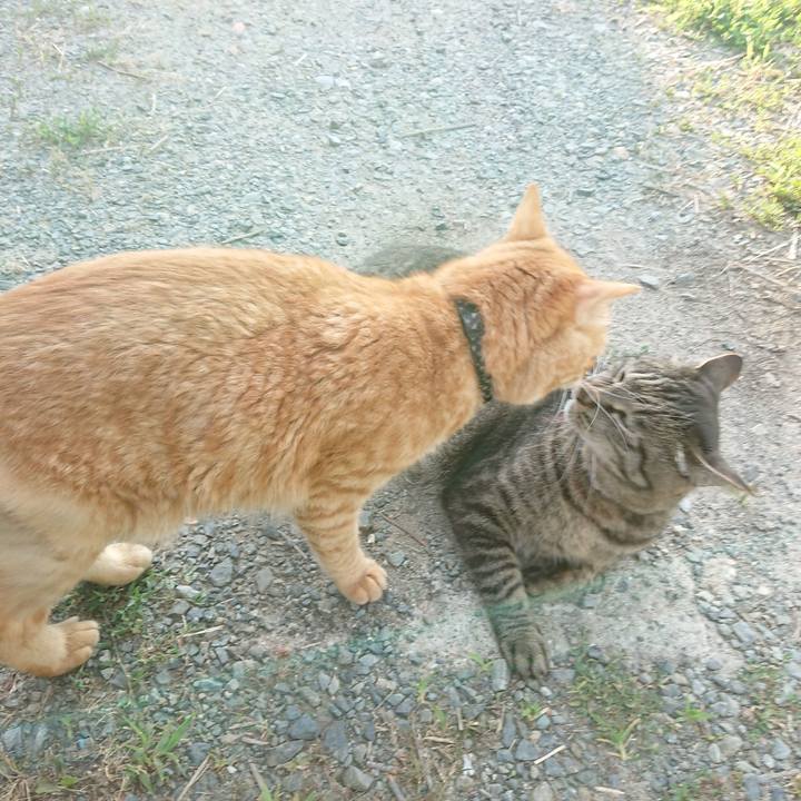 92c5e364 f72c 4527 ae6b 3cc309febd4b 1656799996006