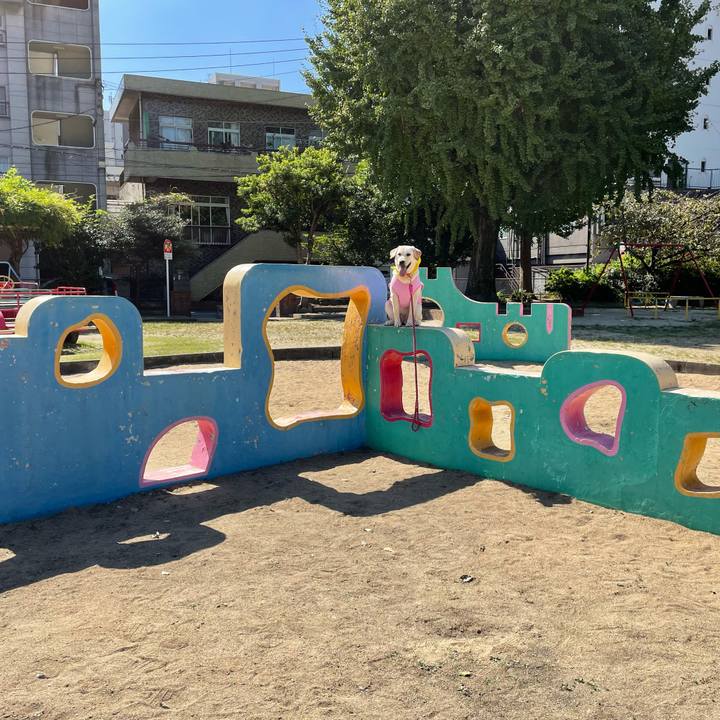 92c5e97b 8a02 47d7 af8e 82a5995db545 1633509254120