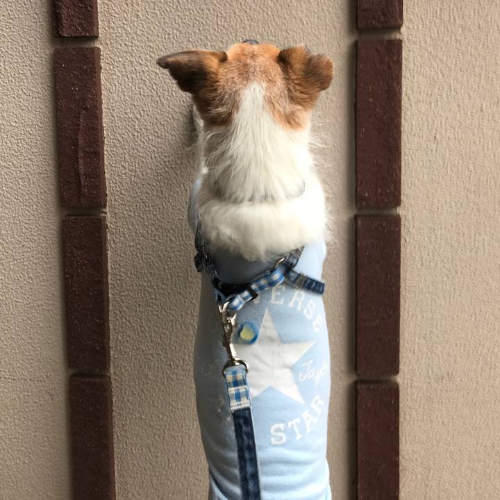 92c5ebdb e4f6 4b34 bebc ef68ec02d8ce 1607927405752