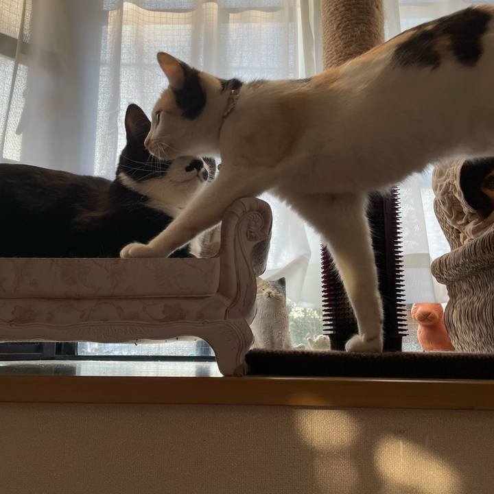 92c5ee03 89b2 4d2c ad6c 20fc41345084 1678141315413