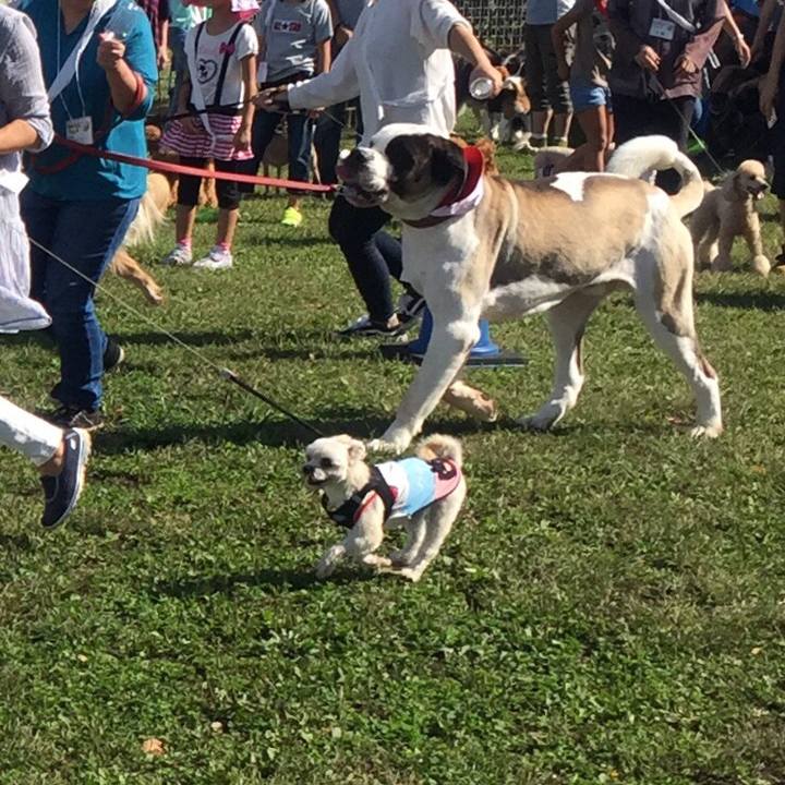 92c60c6e 63a3 4a3c b38a bb69b94ba0d9 1538815400421