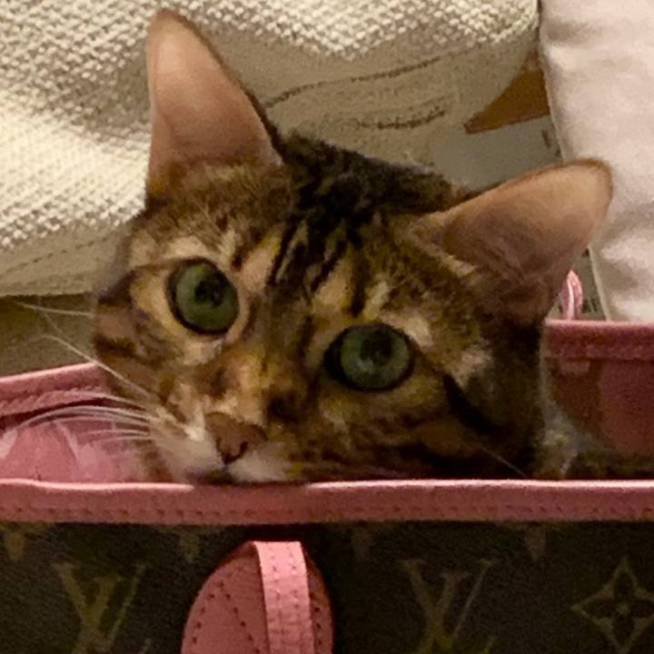 92c623be 9121 43d8 99d4 fd301846531f 1604188685369